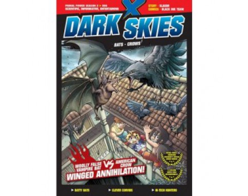 X-VENTURE PRIMAL POWER II R06: DARK SKIES: BATS VS CROWS