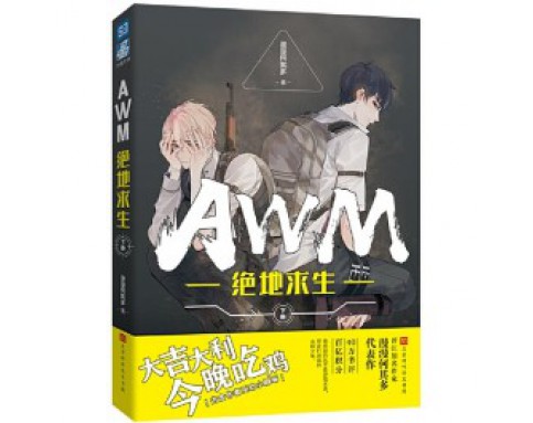 AWM 绝地求生（下册）